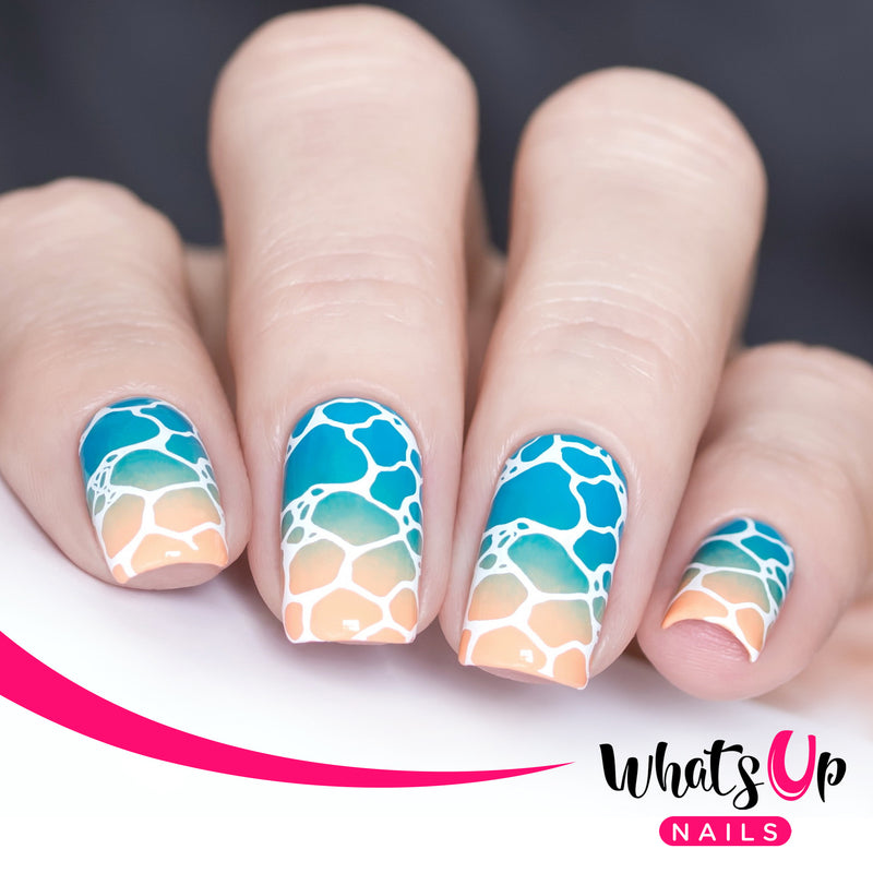 Whats Up Nails - B010 Texture Me Nature Stamping Plate