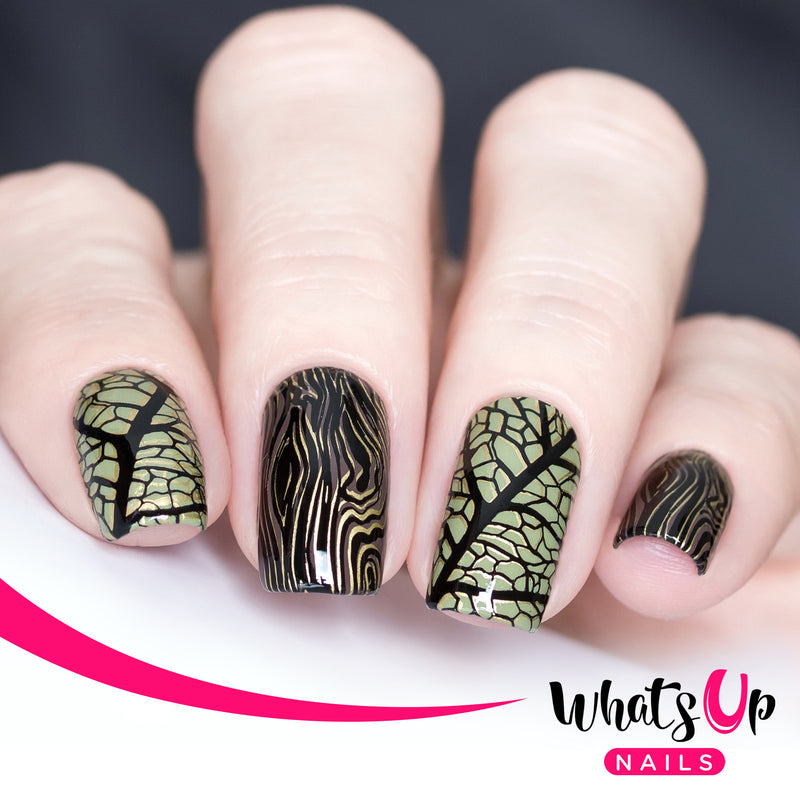 Whats Up Nails - B010 Texture Me Nature Stamping Plate