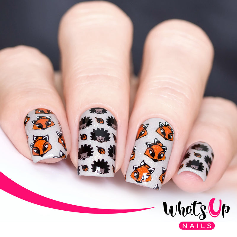 Whats Up Nails - B021 Autumn Tales Stamping Plate