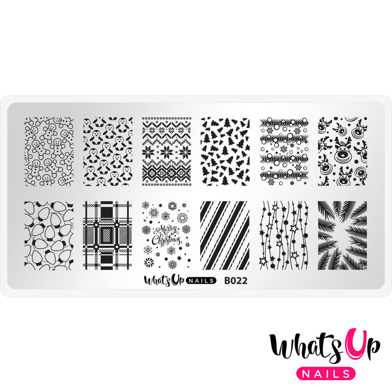 Whats Up Nails - B022 Winter Time Stamping Plate