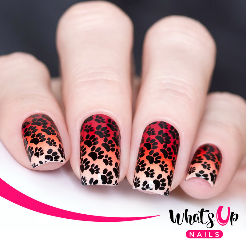 Whats Up Nails - B025 Animalistic Nature Stamping Plate