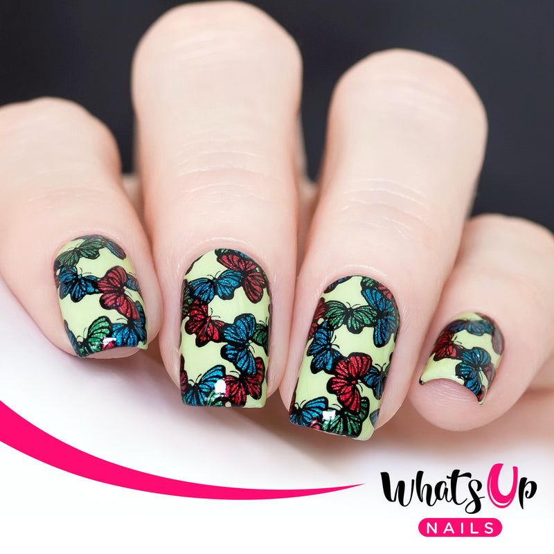 Whats Up Nails - B045 Sprung On Spring Stamping Plate