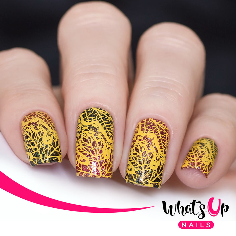 Whats Up Nails - B053 That's Pretty Autumn! Stamping Plate