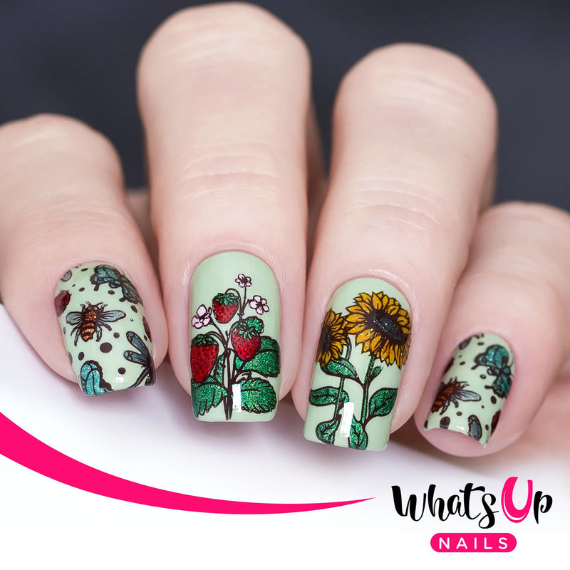 Whats Up Nails - B061 Summer in the Countryside Stamping Plate