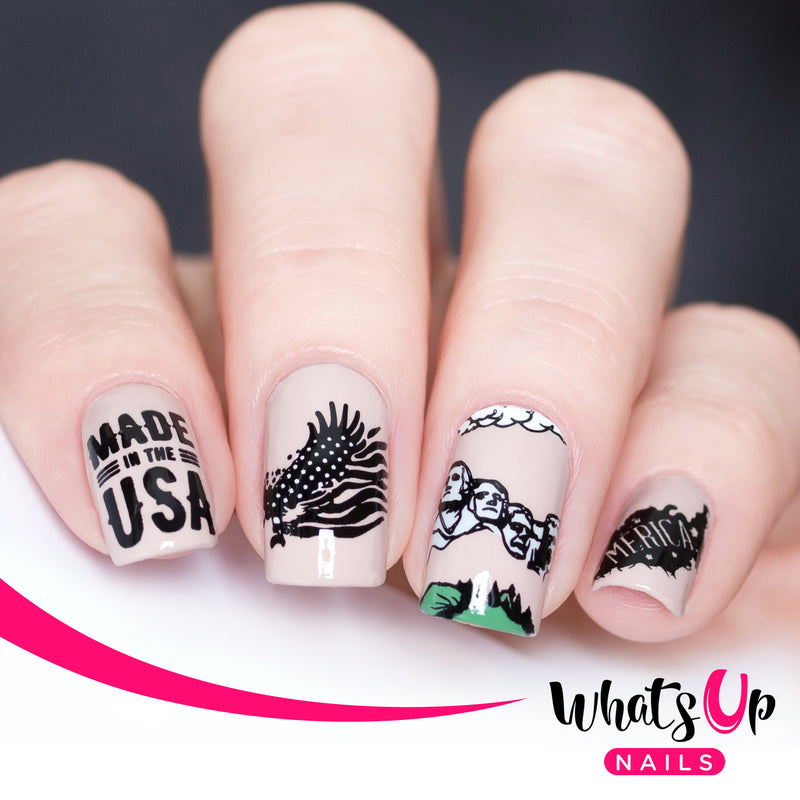 Whats Up Nails - B066 Slice of Americana Stamping Plate