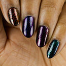 Whats Up Nails - B067 Zoology Trip Stamping Plate