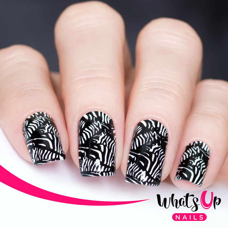 Whats Up Nails - B067 Zoology Trip Stamping Plate