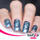 Whats Up Nails - B069 Texture Therapy Stamping Plate