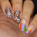 Whats Up Nails - B072 No Clowning Around Stamping Plate