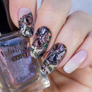 Whats Up Nails - B074 A Flower a Day Stamping Plate