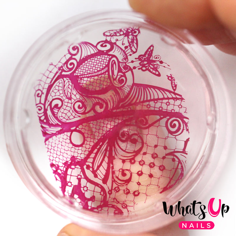 Whats Up Nails - Stamping Starter Kit (B037, The Other Side, Magnified Stamper)