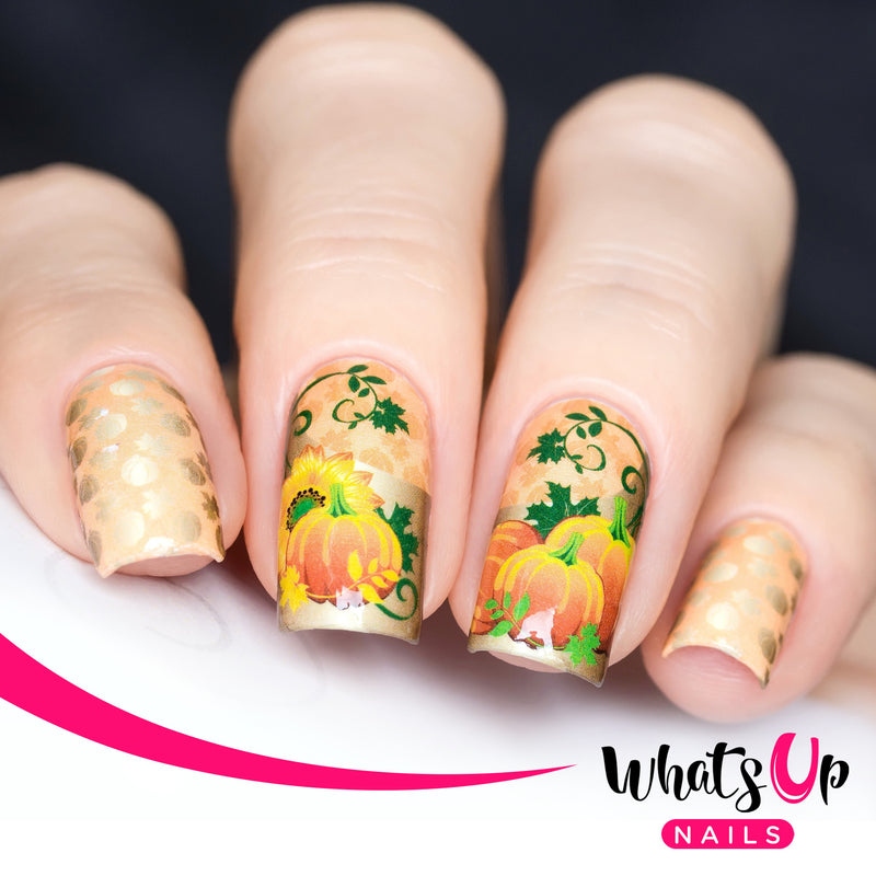 Whats Up Nails - P034 Pumpkin Deluxe Water Decals (Discontinued)
