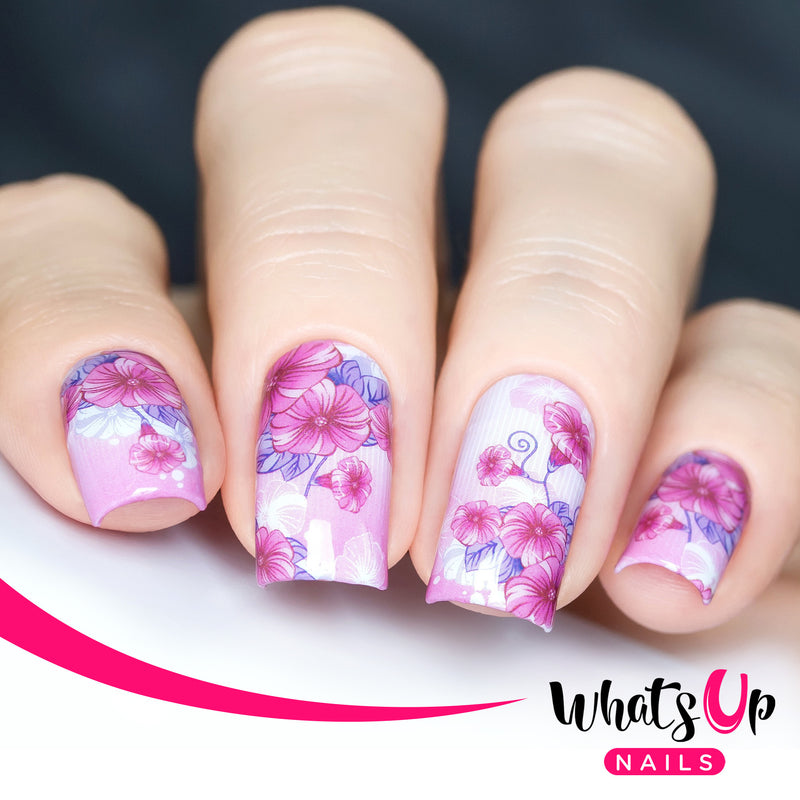 Whats Up Nails - P079 Girly Petals Water Decals